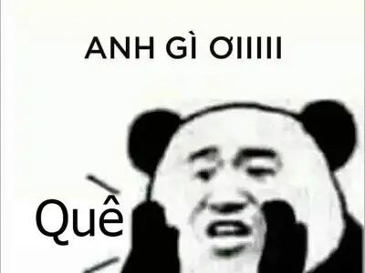 Bộ sưu tập ảnh em bé meme cute dễ thương khiến bạn tan chảy