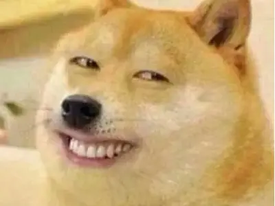Top ảnh haha meme cực dễ thương cho ngày mới thêm vui