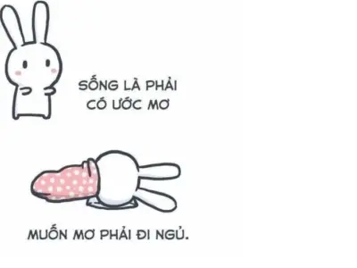 Tổng hợp ảnh ngủ ngon meme độc lạ làm bạn cười thả ga