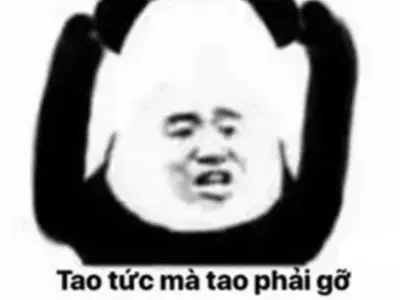 Khám phá bộ sưu tập ảnh meme chửi bá đạo đang gây bão mạng