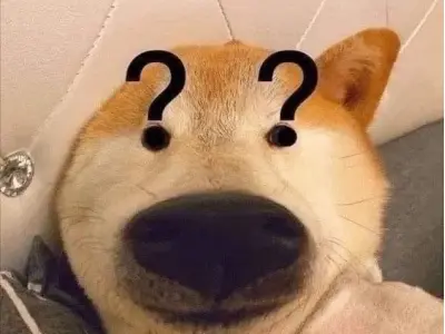 Khám phá những ảnh meme dog vui nhộn siêu dễ thương