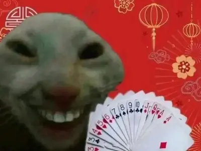 Tải ngay ảnh mèo cười meme hài hước cho mọi tình huống