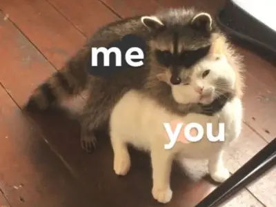 Bộ sưu tập ảnh meme ôm ngộ nghĩnh và hài hước nhất