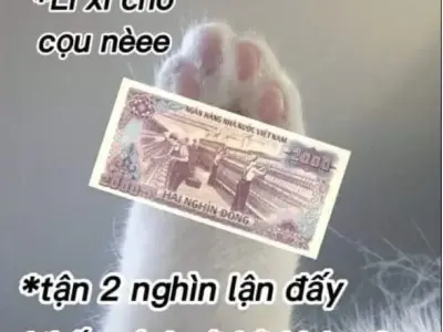 Khám phá bộ ảnh meme tiền siêu dễ thương và hài hước