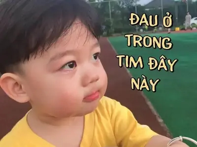 Đau ở đây này meme Hình ảnh vui nhộn khiến dân mạng bật cười