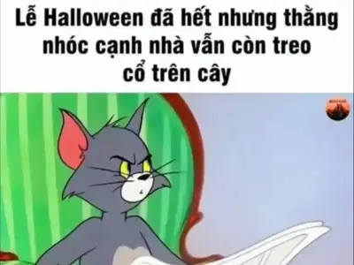 Khám phá thế giới meme dark gây sốc và bí ẩn đầy thú vị