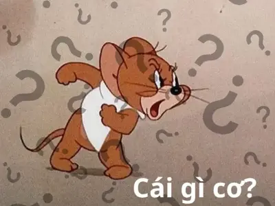 Tuyển chọn ảnh meme hỏi chấm hot trend giới trẻ săn lùng
