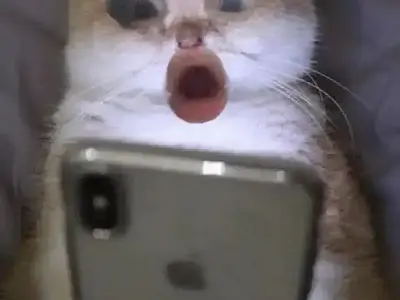 Meme ngạc nhiên là gì gây bão mạng xã hội mọi lứa tuổi