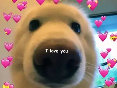 Meme tình yêu bùng nổ mạng xã hội khiến giới trẻ phát sốt