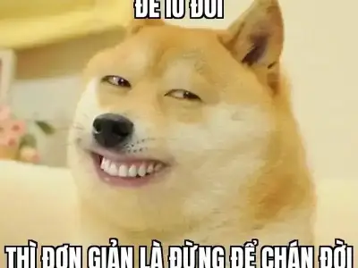 Meme yêu đời tích cực mang lại năng lượng hạnh phúc mỗi ngày