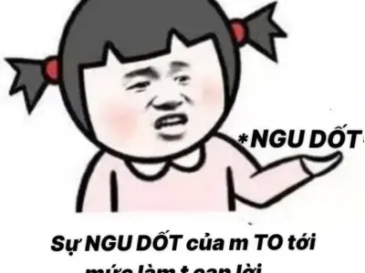Khám phá ngu meme hài hước đang làm mưa làm gió mạng xã hội