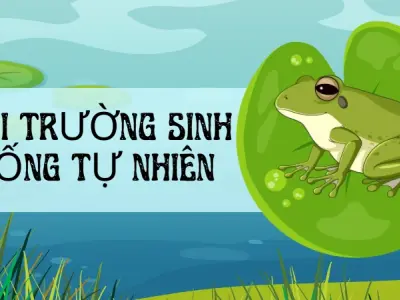 Khám phá những đặc điểm thú vị ít người biết của ếch cây