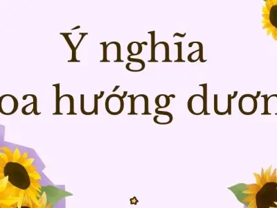 Ý nghĩa hoa hướng dương trong phong thủy và đời sống