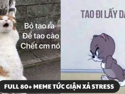1162+ Meme Tức Giận Dễ Thương Và Những Biểu Cảm Khó Đỡ