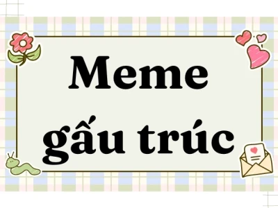 420+ Gấu Trúc Meme Hài Hước Gây Bão Cộng Đồng Mạng