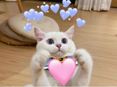 999+ Meme Tình Yêu Dễ Thương: Bí Kíp Thể Hiện Cảm Xúc Tinh Tế
