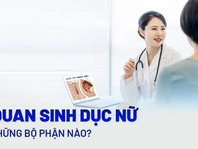 Âm vật của con gái: Cấu trúc, chức năng và những điều cần biết
