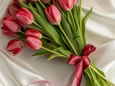 Avatar Hoa Tulip: Tuyển chọn hình nền đẹp và ý nghĩa cho điện thoại 2026