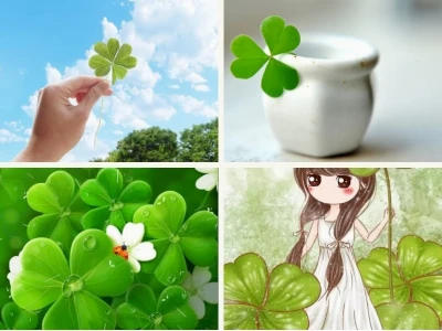 BST Avatar Cỏ 4 Lá May Mắn: Hình Ảnh Đẹp Cho Năm 2026