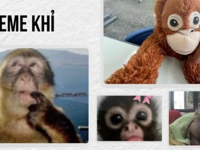 BST Meme Con Khỉ Hài Hước: Biểu Cảm Lầy Lội và Dáng Ngồi Trầm Tư
