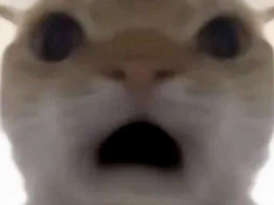 BST Meme Ngạc Nhiên Biểu Cảm Hài Hước & Khó Đỡ Nhất 2026