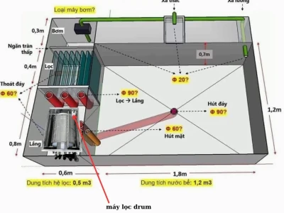 Cách làm hệ thống lọc nước hồ cá tự chế hiệu quả tại nhà