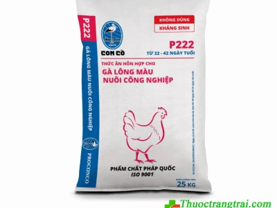 Cám Con Cò: Hành Trình 30 Năm và Tầm Vóc Hiện Tại Dưới Tập đoàn De Heus