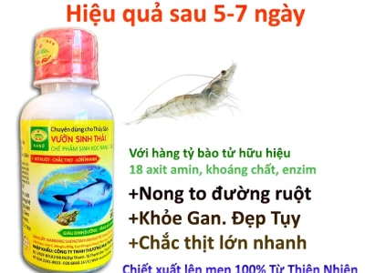 Che Phẩm Sinh Học Cho Tôm Dobio: Bí Quyết Tăng Năng Suất Ao Nuôi