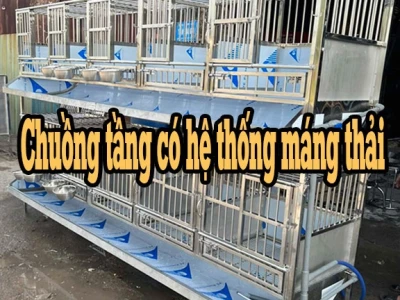 Chuồng cho chó: Hướng dẫn chọn lựa và các mẫu thiết kế phổ biến 2026
