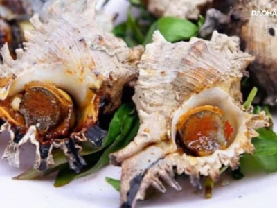 Con ốc gì to nhất và những điều thú vị về thế giới loài ốc