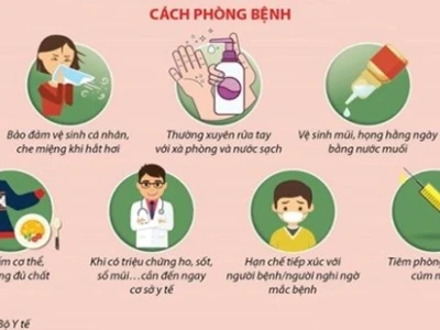 Cúm mùa: Nguyên nhân, triệu chứng và cách phòng ngừa hiệu quả năm 2026