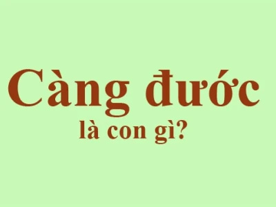 Giá Con Càng Đước Năm 2026: Cập Nhật Mới Nhất và Kinh Nghiệm Nuôi
