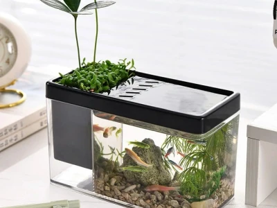 Khám Phá Thế Giới Bể Cá Cảnh Mini: Hướng Dẫn Chi Tiết và Mẫu Đẹp 2026