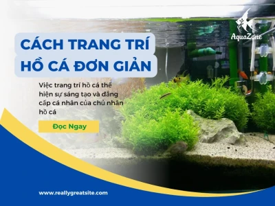 Khám Phá Thế Giới Bể Cá Đẹp: Từ Sang Trọng Đến Độc Đáo
