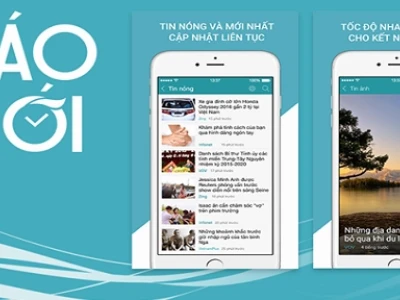 Khám Phá Thế Giới Loài Chim Hót Hay Nhất Hiện Nay