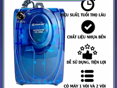 Máy tạo Oxy cho Cá: Hướng Dẫn Chọn Lựa Và Sử Dụng Hiệu Quả Năm 2026