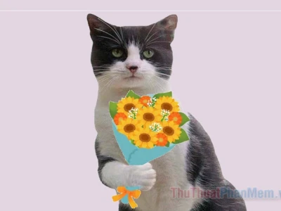 Meme Mèo Tặng Hoa: Bộ Sưu Tập Hài Hước và Dễ Thương Nhất 2026