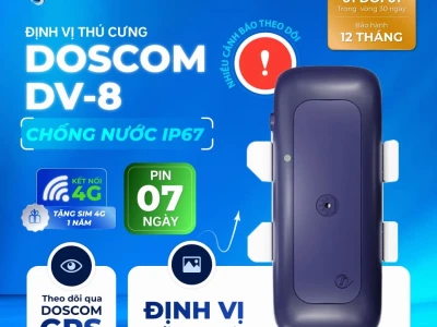 Thiết Bị Định Vị Chó Mèo: Bảo Vệ Thú Cưng Toàn Diện Năm 2026