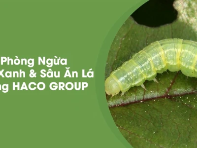 Tổng hợp 5+ loại sâu ăn lá phổ biến gây hại cây trồng và cách nhận biết