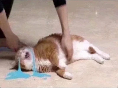 Tổng Hợp Ảnh Meme Mèo Khóc Cute Vô Tri Nhất 2026