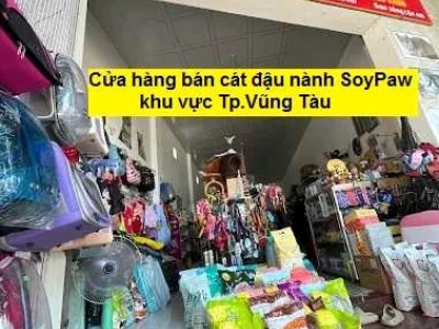 Top Pet Shop Vũng Tàu: Hướng Dẫn Chọn Cửa Hàng Thú Cưng Uy Tín