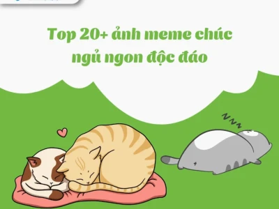Tuyển tập meme ngủ ngon cực hài và dễ thương cho bạn