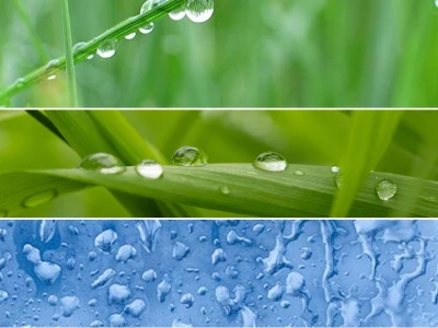 Understanding Dew Point in India and Heat Wave Dynamics