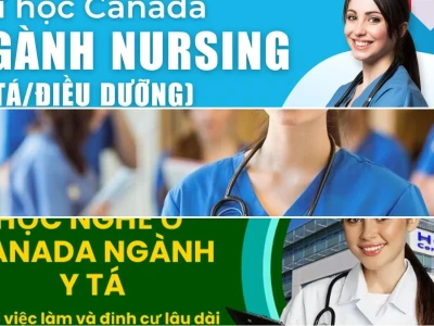 Lộ trình tư vấn du học Canada ngành y tá hiệu quả năm 2026