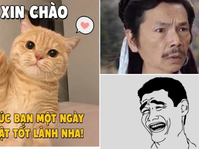Meme Hài Hước Chế Phim Ảnh Mới Nhất Sự Thật Hay Lầm Tưởng?