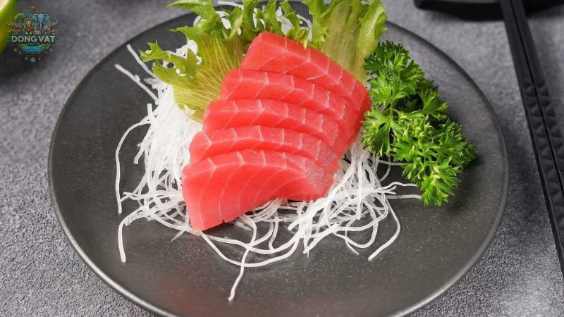 Sashimi cá ngừ