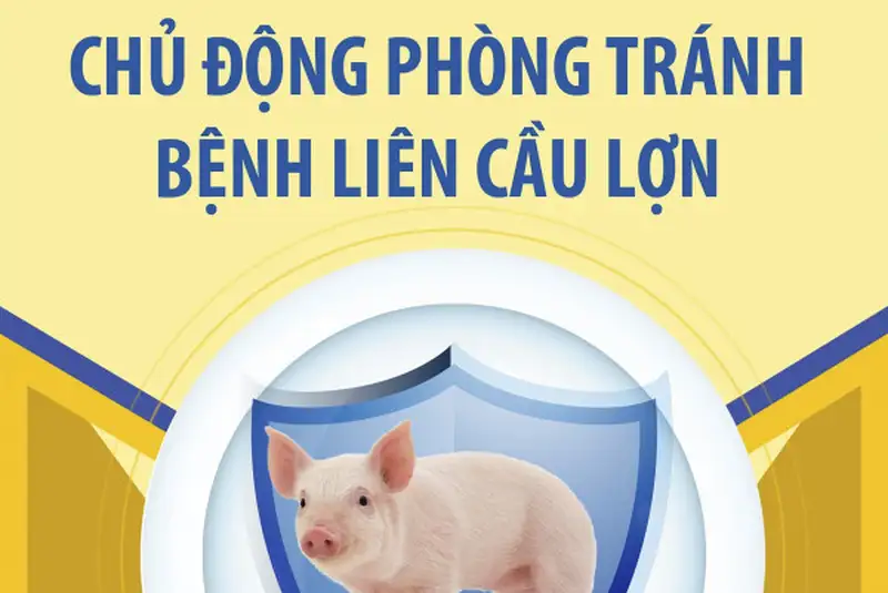 Triệu chứng của bệnh liên cầu khuẩn