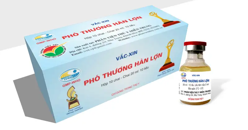 Phòng bệnh phó thương hàn lợn