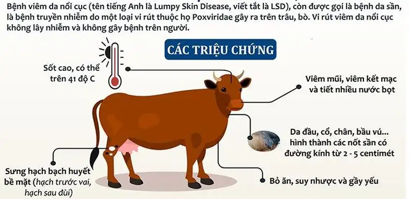 Dấu hiệu lâm sàng 1