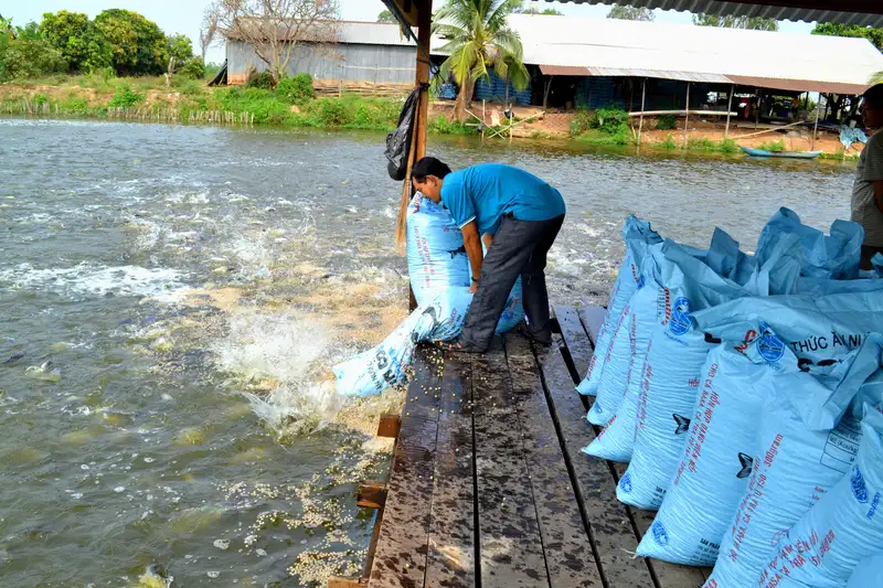 Giá thức ăn cho cá tra 1